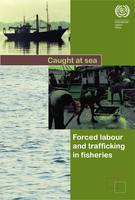 Caught at sea: forced labour and trafficking in fisheries