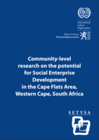 Community analysis of social enterprise development in the Cape Flats Area, Western Cape, South Africa