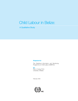 Child labour in Belize: a qualitative study