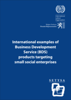 International examples of Business Development Service (BDS) products targeting small social enterprises