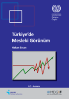 Occupational outlook in Turkey