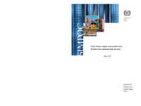 Child labour wages and productivity: results from demand-side surveys