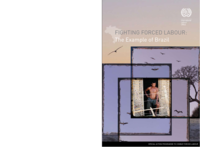Fighting forced labour: the example of Brazil