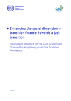 Enhancing the social dimension in transition finance: towards a just transition, input paper prepared for the G20 Sustainable Finance Working Group under the Brazilian Presidency