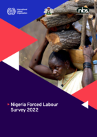 Nigeria forced labour survey 2022