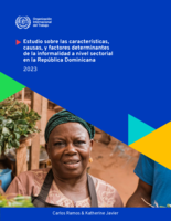 Estudio sobre las características, causas, y factores determinantes de la informalidad a nivel sectorial en la República Dominicana 2023