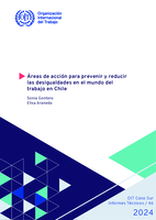 Áreas de acción para prevenir y reducir las desigualdades en el mundo del trabajo en Chile