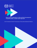Brazil-China cooperation in OSH and skills development feasibility study: a South-South approach