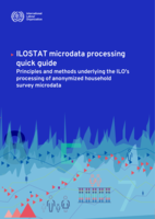 ILOSTAT microdata processing quick guide: principles and methods underlying the ILO’s processing of anonymized household survey microdata