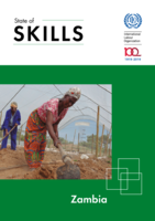 State of skills: Zambia