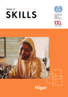 State of skills: Niger