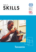 State of skills: Tanzania