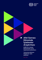 Enterprises survey in post-disaster setting: prospects for recovery of the SMEs after the 6th of February earthquakes: a field study in the affected region in Türkiye