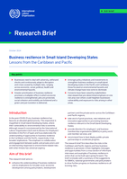 Business resilience in small island developing states: lessons from the Caribbean and Pacific