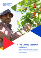 The cherry sector in Lebanon: results of a survey of cherry farmers and workers in the Bekaa, North and Mount Lebanon
