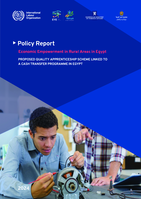 Proposed quality apprenticeship scheme linked to a cash transfer programme in Egypt