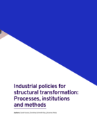 Industrial policies for structural transformation: processes, institutions and methods