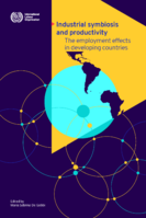 Industrial symbiosis and productivity: the employment effects in developing countries