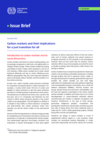 Carbon markets and their implications for a just transition for all