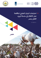 Combatting child labour in the cotton value chain in Egypt through the development of cooperatives