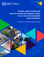Estudio sobre el potencial para la creación de empleos verdes en un marco de transición justa en México: un análisis con enfoque sectorial y estatal