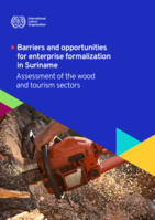 Barriers and opportunities for enterprise formalization in Suriname: assessment of the wood and tourism sectors