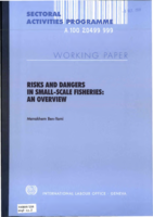 Risks and dangers in small-scale fisheries: an overview