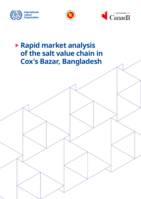 Rapid market analysis of the salt value chain in Cox’s Bazar, Bangladesh