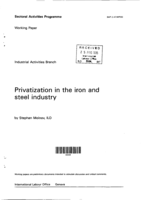 Privatization in the iron and steel industry