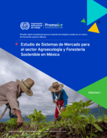 Estudio de sistemas de mercado para el sector agroecología y forestería sostenible en México