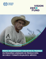Perfil de seguridad y salud en el trabajo en pequeñas unidades de producción de chile y tomate en Jalisco, México
