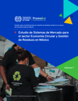 Estudio de sistemas de mercado para el sector economía circular y gestión de residuos en México