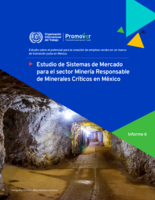 Estudio de sistemas de mercado para el sector de minería responsable de minerales críticos en México