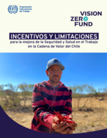 Incentivos y limitaciones para la mejora de la seguridad y salud en el trabajo en la cadena de valor del chile