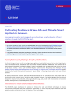 Cultivating resilience: green jobs and climate-smart agritech in Lebanon
