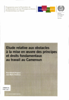 Etude relative aux obstacles à la mise en oeuvre des principes et droits fondamentaux au travail au Cameroun: rapport de recherche réalisé dans le cadre du rapport global sur l'égalité au travail de 2007