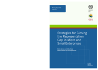 Strategies for closing the representation gap in micro and small enterprises