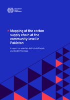 Mapping of the cotton supply chain at the community level in Pakistan: a report on selected districts in Punjab and Sindh Provinces