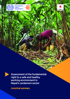 Assessment of the fundamental right to a safe and healthy working environment in Nepal’s cardamom sector: analytical summary