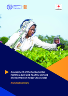 Assessment of the fundamental right to a safe and healthy working environment in Nepal’s tea sector: analytical summary