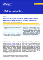 Measuring quality of employment in emerging economies: a methodology for assessing job amenities using big data