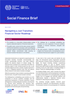 Navigating a just transition: financial sector roadmap