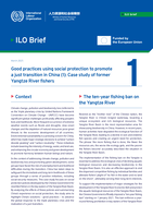 Good practices using social protection to promote a just transition in China (1): case study of former Yangtze River fishers