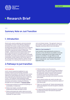 Summary note on just transition