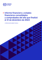 Informe financiero y estados financieros consolidados y comprobados del año que finalizó el 31 de diciembre de 2024 e Informe del Auditor Externo