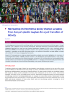 Navigating environmental policy change: lessons from Kenya’s plastic bag ban for a just transition of MSMEs