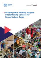 Bridging gaps, building support: strengthening services for forced labour cases