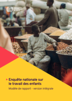 Enquête nationale sur le travail des enfants: modèle de rapport - version intégrale