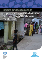 Esquema para la elaboración de programas nacionales de eliminación de las enfermedades relacionadas con el asbesto