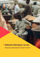 National child labour survey: reporting template full-length version